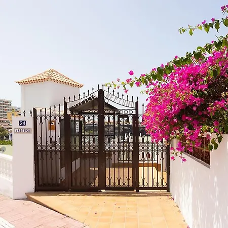 Apartment Neptuno Poll Y Experience